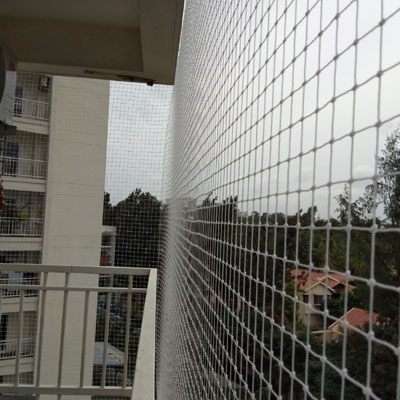 Pigeon safety nets in Pune